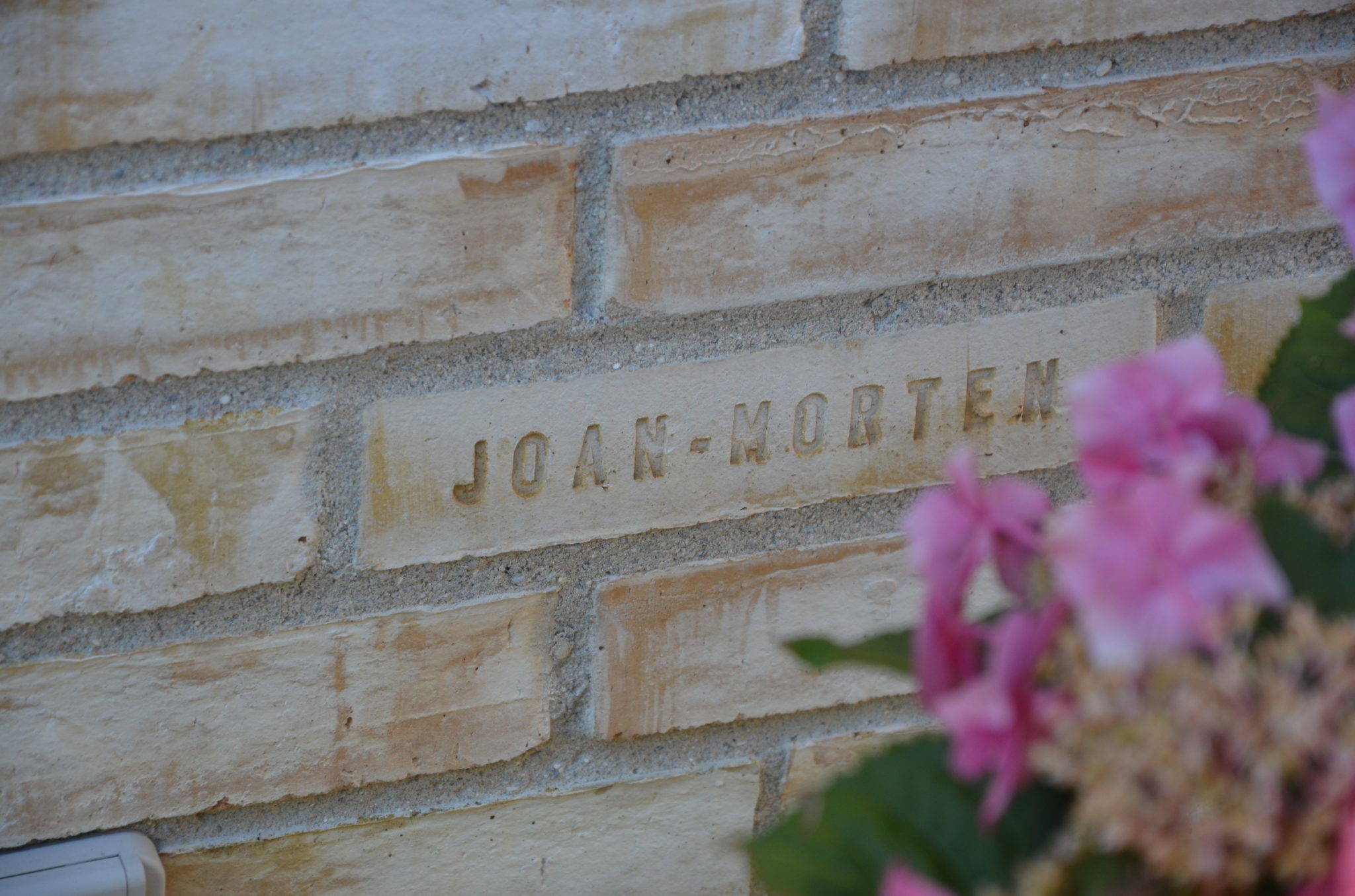 Flotte, personlige facader